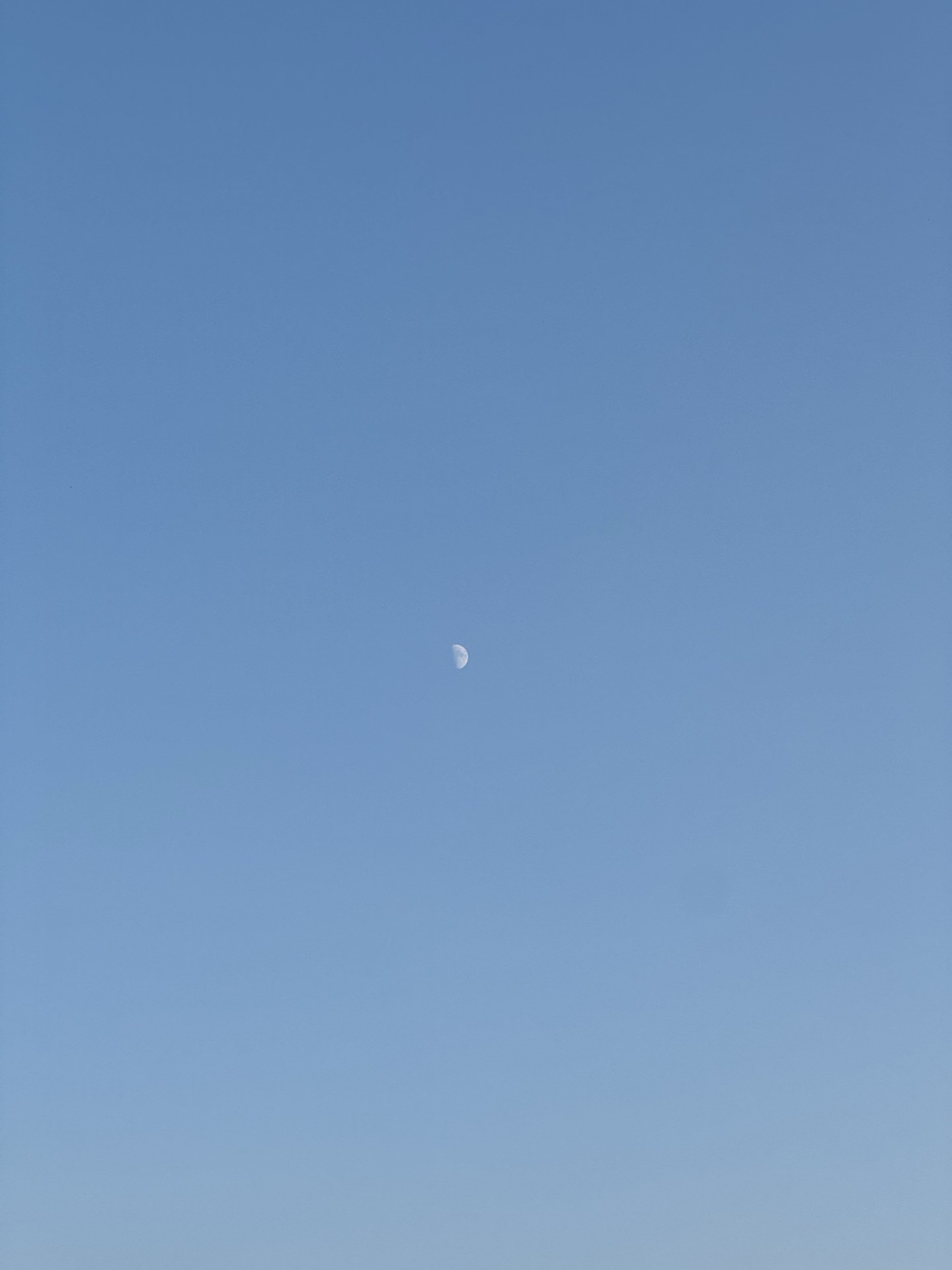 摄影 28